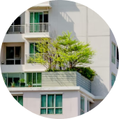 Tô điểm thêm sắc xanh tươi mát từ lá