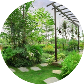 Hỗ trợ làm đẹp sân vườn, hàng rào, khuôn viên nhà