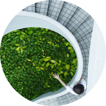 Thiếu mảng xanh thiên nhiên?