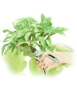 Đội ngũ nhân viên với thiết bị, máy móc chuyên dụng