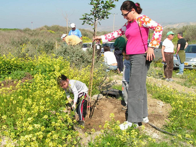 8 Lễ Hội Tôn Vinh Cây Xanh Trên Thế Giới