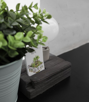 8 Loại Cây Cảnh Lọc Không Khí Và Khử Mùi Cực Tốt Nên Trồng Trong Nhà Bếp