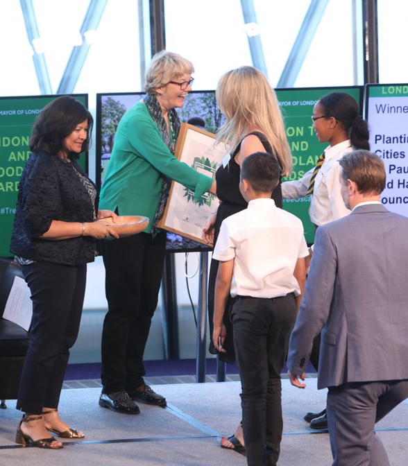 CÓ GÌ THÚ VỊ TẠI LỄ HỘI KỶ NIỆM CÂY ĐÔ THỊ NĂM 2022?