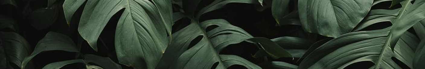 Doanh nghiệp bạn