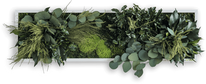 Quang Cảnh Xanh tự tin cung cấp giải pháp