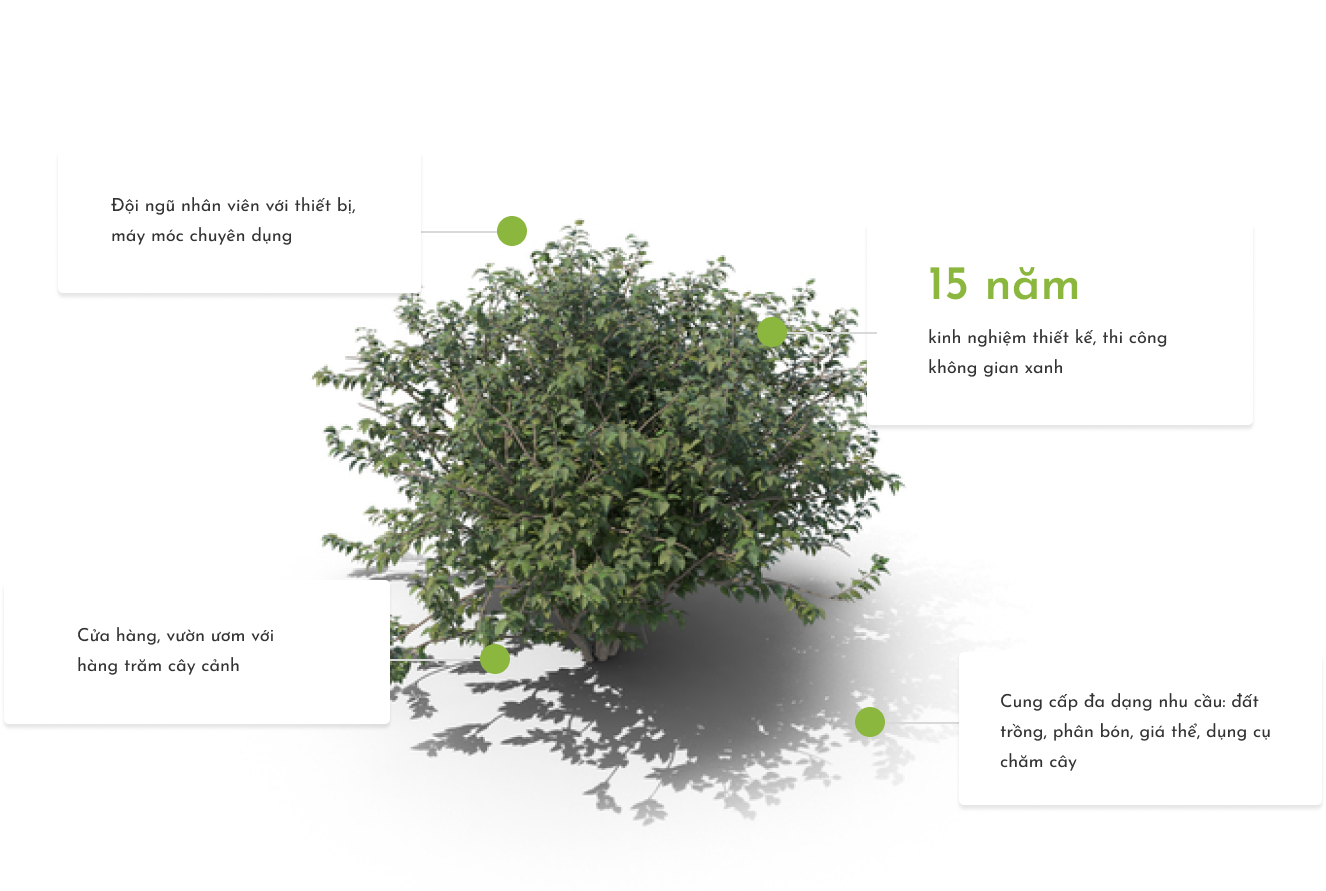 Let Quang Canh Xanh help you